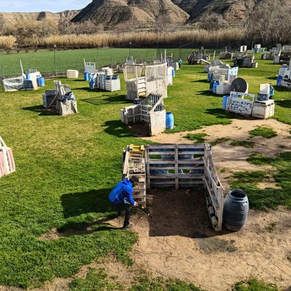 IMG_20260215_130833_1